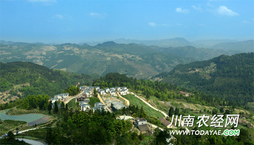 茶园新村.jpg