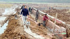 <b>泸县：土地整理 农业产业连片发展</b>