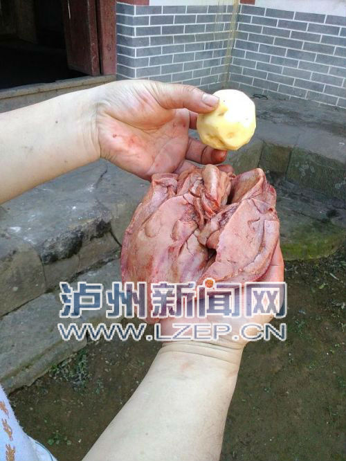 报料人：张艺奖100元