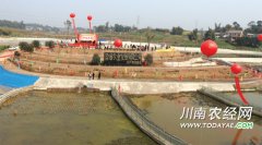 <b>泸州丹林：35岁男子返乡创业 打造龙虾全产业链</b>