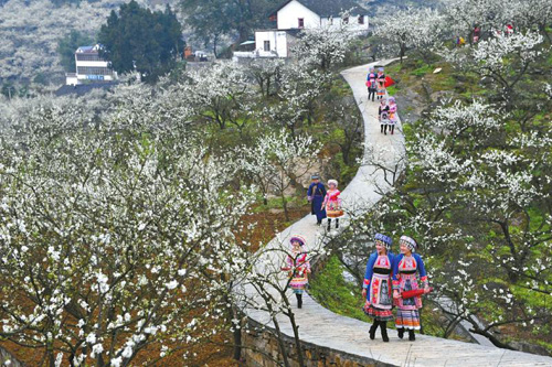 游客漫游花海.jpg