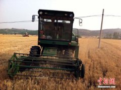 <b>农业部：加快调整种植结构 积极推进马铃薯业开发</b>