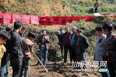 <b>省农科专家到丹桂镇开展辣椒技术培训</b>