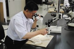 <b>“最牛民科”初中肄业成大学终身教授(图)</b>