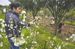 <b>宜宾：儿子携妻女回乡当农民 父亲威逼断绝关系</b>