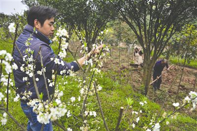 儿子携妻女回乡当新型农民 父亲威逼断绝关系