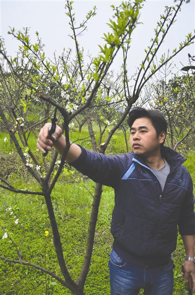 儿子携妻女回乡当新型农民 父亲威逼断绝关系