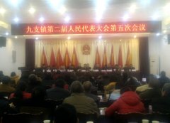 九支镇召开第二届第五次人民代表大会