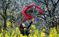 <b>泸州“花为媒”文化节邀您赏花踏青</b>