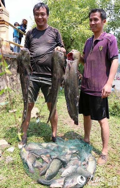 云南上演万人捉鱼,孟连娜允神鱼节