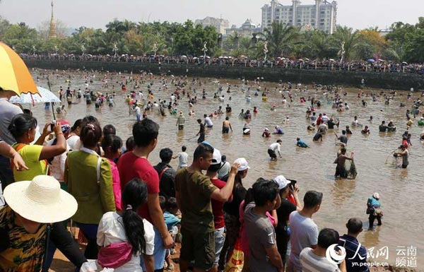 云南上演万人捉鱼,孟连娜允神鱼节