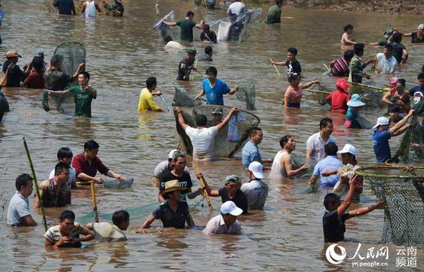 云南上演万人捉鱼,孟连娜允神鱼节