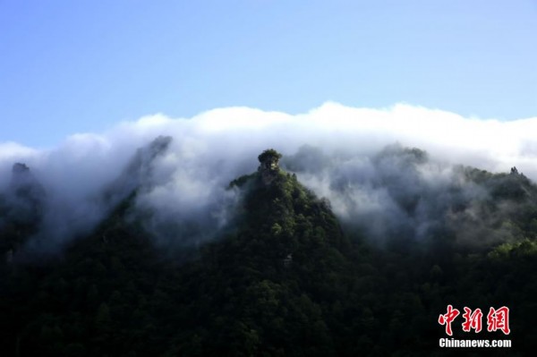 张家界武陵源雨后现“云瀑”
