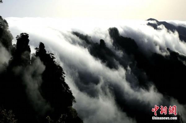张家界武陵源雨后现“云瀑”