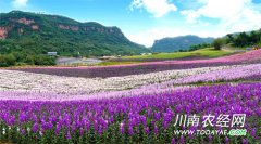 <b>泸州：清溪河小流域水土工程获国家殊荣</b>