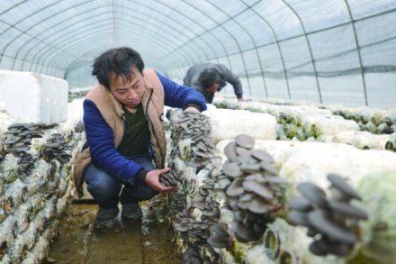 <b>贵阳市首个农村社会治理示范点建设综述</b>