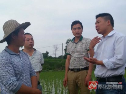 <b>洪江市农村经济经营管理站将惠农政策落实到田间地头</b>