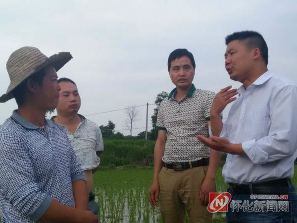 与村民交流种粮经验