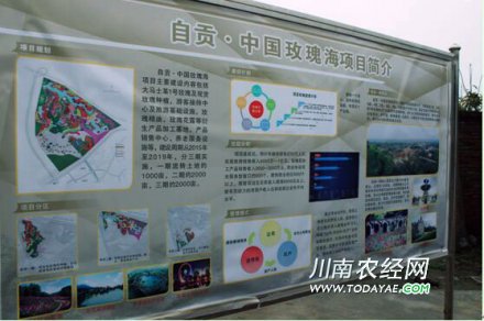 <b>自贡：玫瑰海入选全国优选旅游项目名录</b>