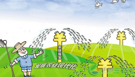 <b>农村金融监管需要完善顶层设计</b>