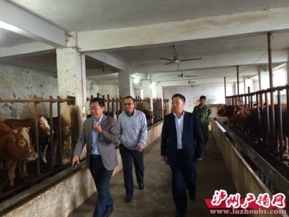 <b>刘云富：30年来兢兢业业成了“农民知音”</b>