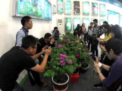 互联网+特色农产品 菏泽现代农业“一网直前”