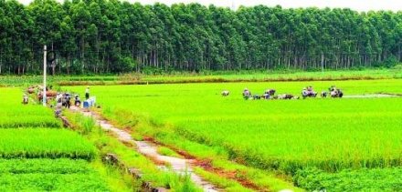 三部门发布旅游用地新政：乡村旅游可用集体建设用地