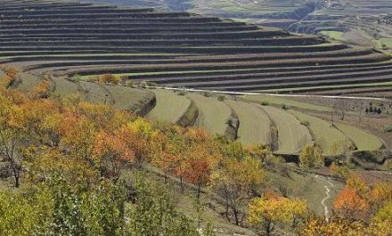 生态立乡，旅游兴乡” 水口乡全面打造“美丽乡村”