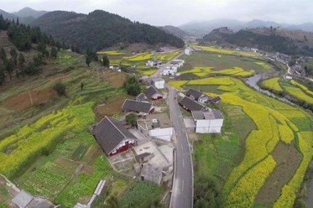 广东力争建成300个省级以上生态文明乡镇