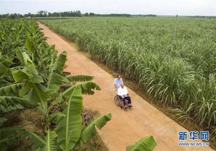 广东湛江市优秀共产党员前政协主席陈光保