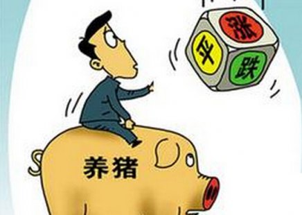 <b>网友戏称为“飞天猪” 后市价格会怎样走势</b>