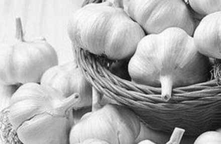 山东成武农民：大蒜卖出新花样