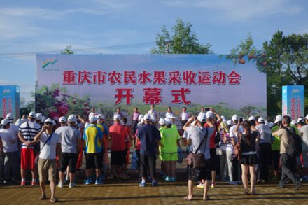 <b>重庆首届农民水果采收运动会在永川区举行</b>