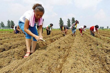 洪灾过后 生产自救