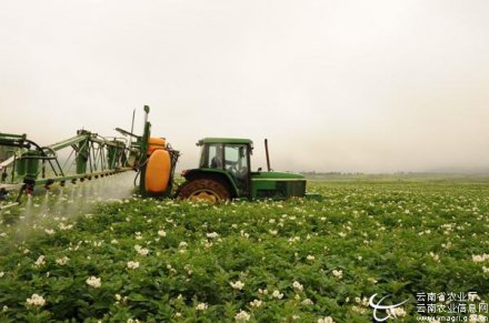 丽江伯符农业公司马铃薯机械化育种