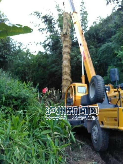 QQ图片20160823175512