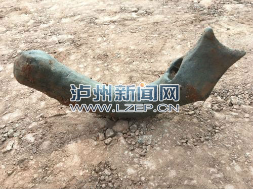 zhangrh1608760 - 副本