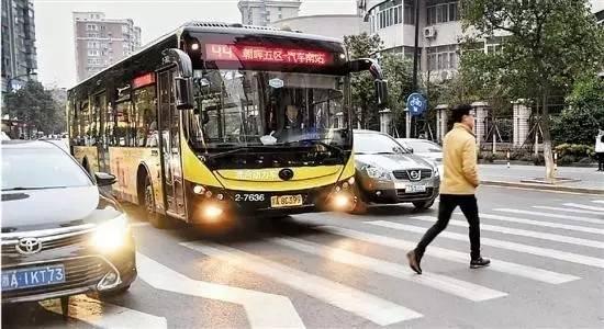 图片来源：浙江在线