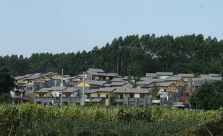 <b>双流农民自主打造幸福美丽新村 乡村别墅美得让城里人羡慕</b>