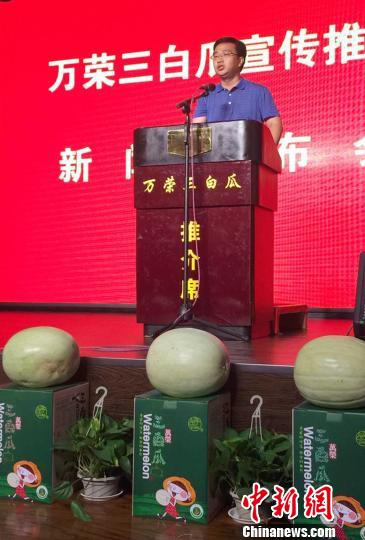 万荣县县长李永辉宣传推介三白瓜。　任丽娜摄