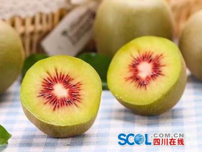 雅安红心猕猴桃 “红”果中藏“红”心
