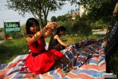 泸州纳溪区：万亩桂花飘香带火乡村旅游