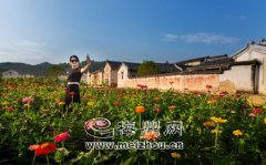 广东梅州：推进美丽乡村建设 串起“盆景”变“风景”