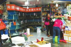 “阳澄湖大闸蟹”自带防伪‘身份证’，23日前所售均为假的