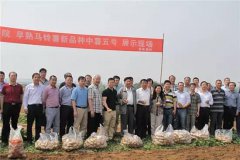 致富如何实现亩产纯收入过万元，奇迹这样产生的！