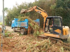 安徽枞阳：雨坛乡加快农村道路畅通工程建设步伐