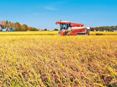 迪蒙众筹系统：农业众筹成为现代农业发展助推器