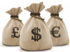 “农村小额信贷”对农村发展金融的重要性