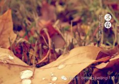 今日寒露 入冬前最可怕气候到了！