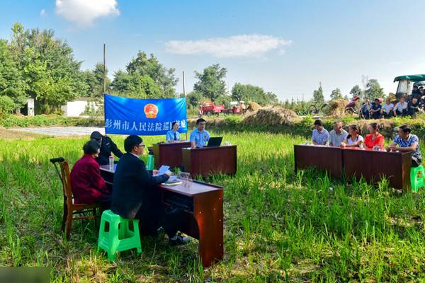 73岁老母亲状告儿女 法庭玉米地开庭(图)